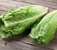 Quelle est cette salade ?