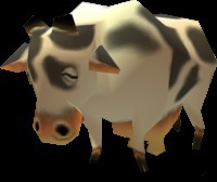 Combien y a-t-il de vaches dans la ranch Romani ?