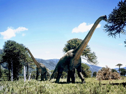 Qui est ce dinosaure taille haie ?