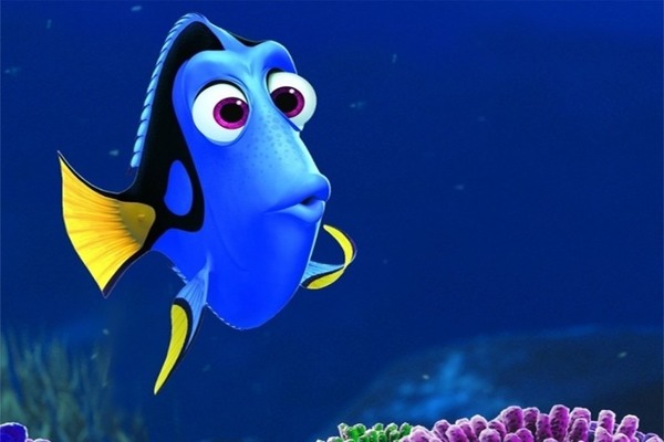 Comment s'appelle ce personnage du Monde de Nemo ?