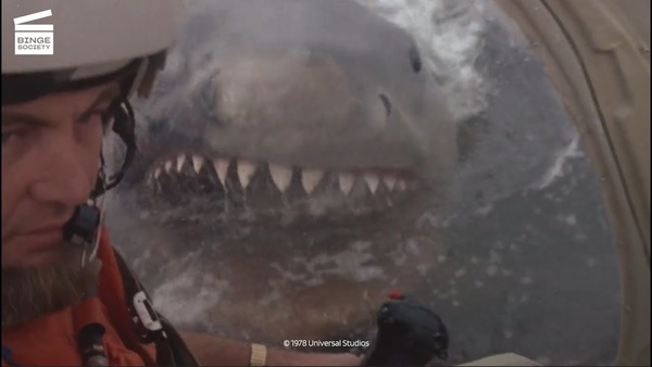 Que tentait de faire le pilote d'hélicoptère lorsqu'il s'est fait attaqué par le requin ?