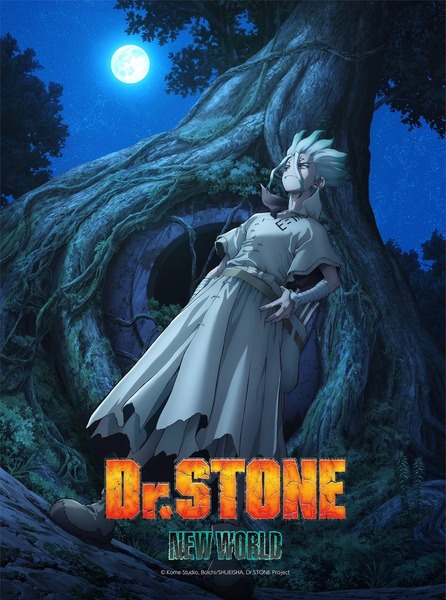 Quelle saison de Dr.stone est diffusée cette saison ?