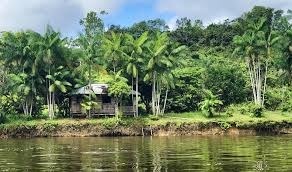 Q'est-ce qui caractérise le parc amazonien de Guyane ?