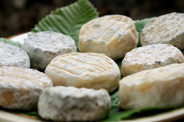 Comment s’appelle le fameux fromage de chèvre classé AOC et produit dans les Cévennes ?