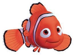 "Nemo" est un modèle de chez...