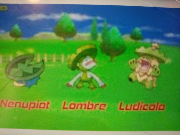 Nénupiot, Lombre et Ludicolo sont les seuls Pokémons de type PLANTE.
