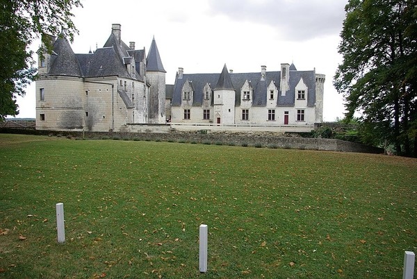 Sous quel roi Antoine de Buade fait-il l’acquisition du château de Palluau ?