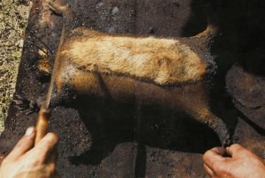 Marmottes à la vapeur : L'animal est décapité puis évidé sans abîmer la peau. On la remplit ensuite de sa viande et de pierres brulantes.