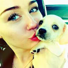 Comment s'apelle la chienne de Miley Cyrus ?