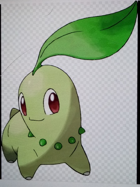 Dans la saison 3 de "Pokémon", Germignon est le premier Pokémon qu'attrape Sacha.