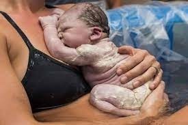 Comment appelle-t-on cette substance blanchâtre sur la peau du nouveau-né ?