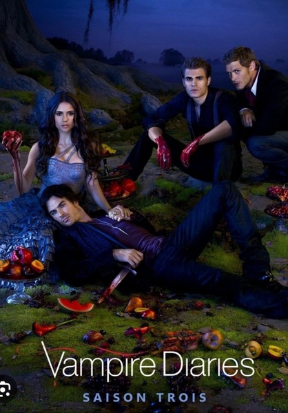 Stefan est en couple avec Elena dans les première saisons mais quel est ce couple ?