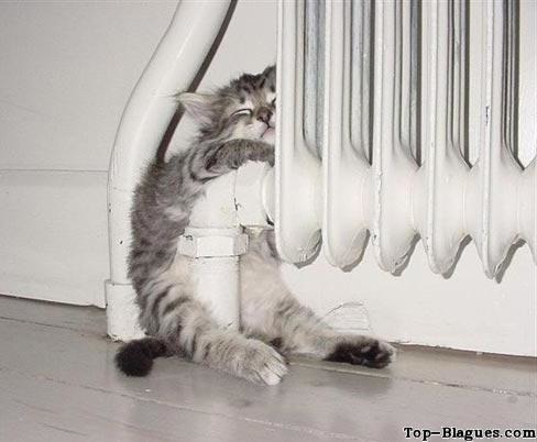 Quand on baisse le chauffage d'une maison d'1°C, de combien diminue-t-on sa facture d'électricité ?