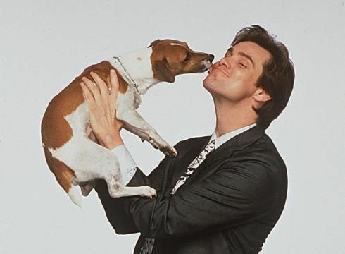 Dans quel film Milo est-il le fidèle compagnon de Jim Carrey ?