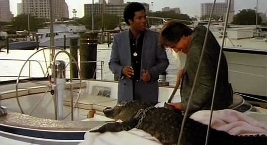 Dans Miami Vice quel est le nom du crocodile ?