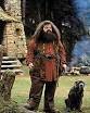 Qui est le(la) remplacent(e) de Hagrid durant ses absences ?