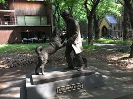 En quelle année une statue d'Hachiko et son maître a été inaugurée à l'université où travaillait son maître ?