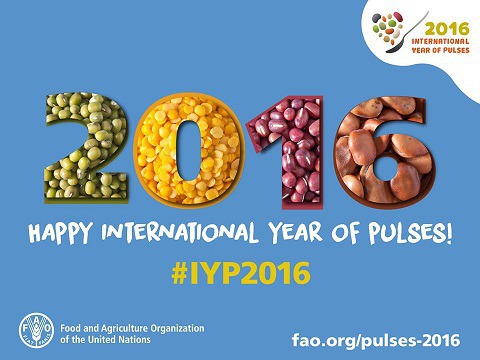 En raison de leurs vertus nutritionnelles, la 68ème Assemblée générale des Nations Unies a proclamé 2016 : "Année internationale...." :