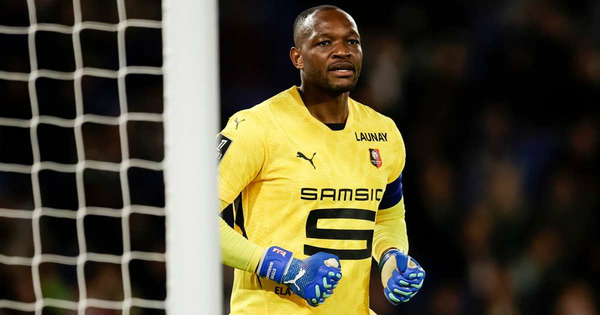 Le Stade Rennais sera le dernier club pro de sa carrière.