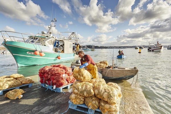 Lequel de ces ports est l'un des principaux ports de pêche bretons de coquilles Saint-Jacques ?