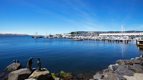 Hobart est la capitale de l'État océanique de Tasmanie. Je suis connue pour les chiens dingos ou les diables de Tasmanie. Dans quel pays je me situe ?