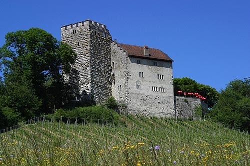 Où se trouve le château ancestral de la dynastie des Habsbourg ?