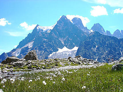 Lequel de ces massifs alpins est le plus élevé ?