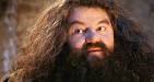 Quel nouveau poste a Hagrid à Poudlard ?