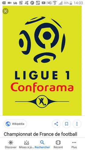 Ligue 1 Conforama Joueur