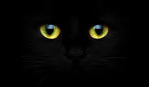 Expression d'yeux 1