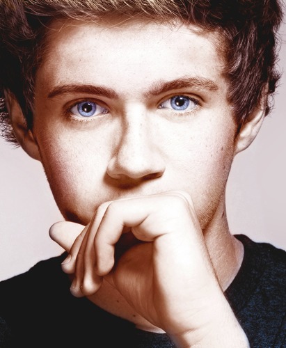 Connais-tu réellement Niall Horan ?