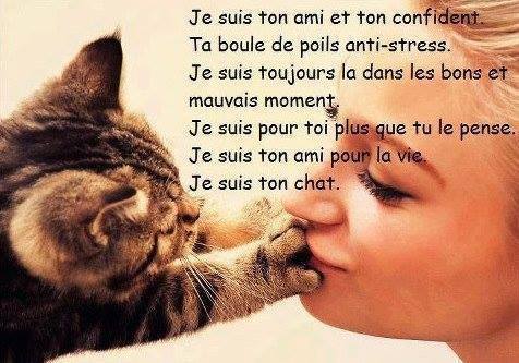 Top animaux !