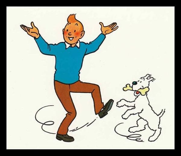 Les Aventures De Tintin Et Milou