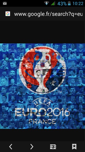 La France à l'euro 2012
