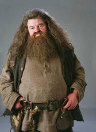 Harry Potter : Connaissez-vous bien Hagrid ?