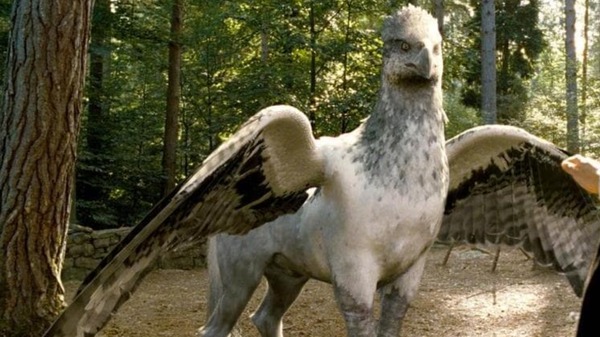Les animaux et créatures dans la saga "Harry Potter"