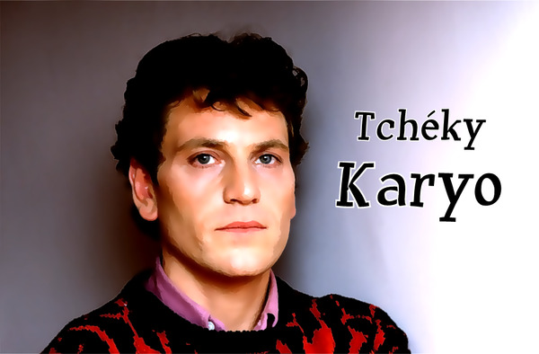 Les films avec Tchéky Karyo