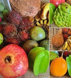 Quel est ce fruit ? - 1