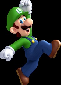 Luigi et Mario les frères du temps