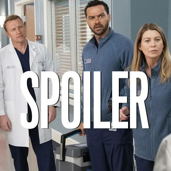 Sur Grey's anatomy s16