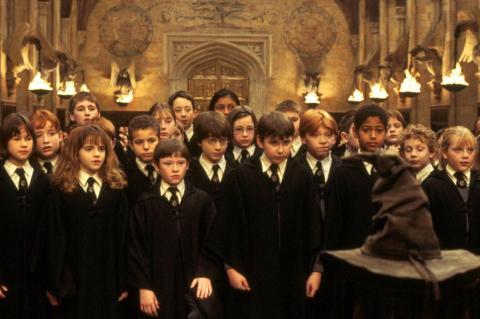 Les Maisons d'Harry Potter et ses amis