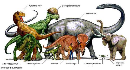 Le quiz des dinosaures