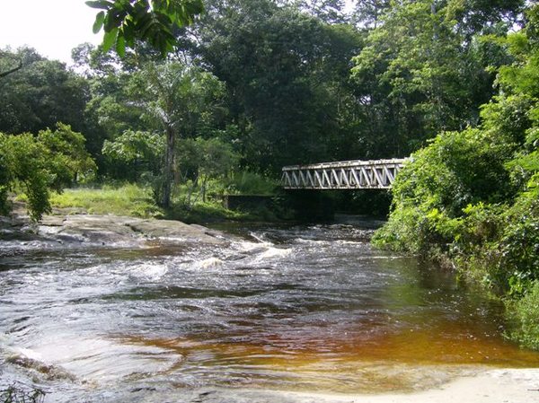 Parc Amazonien de Guyane