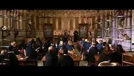 BUSE - Métamorphoses Harry Potter