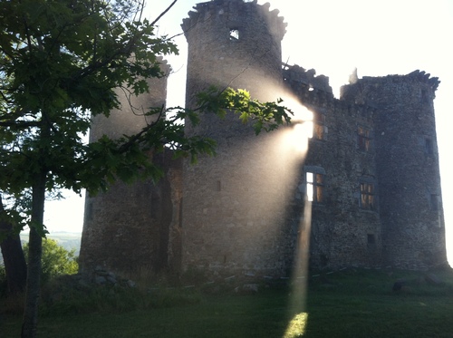 Les châteaux de l'Anjou