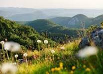 Les communes de France dont le nom commence par "Bourg" (4)