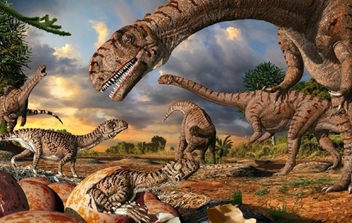 Les dinosaures (3) - 11A