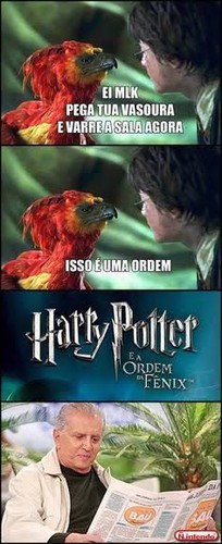 Harry Potter questions