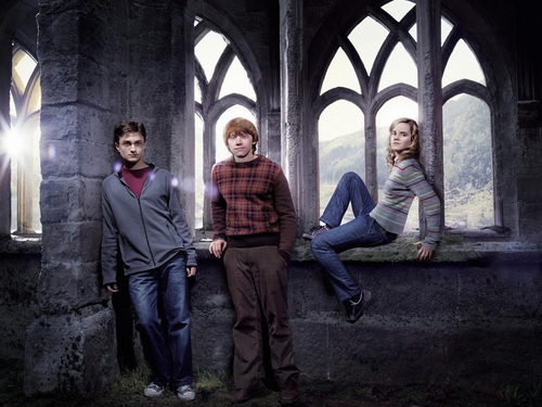 Comment connaissez-vous Harry Potter ?
