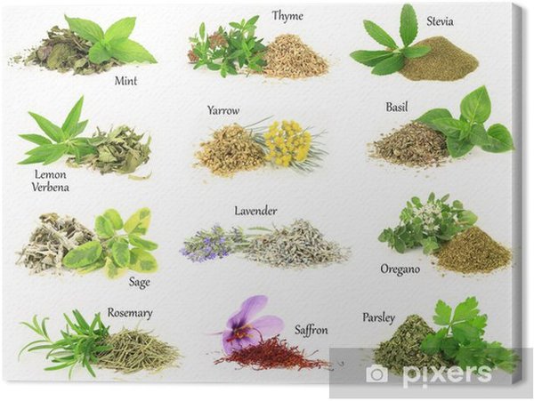 Vocabulaire allemand : les légumes et les herbes aromatiques